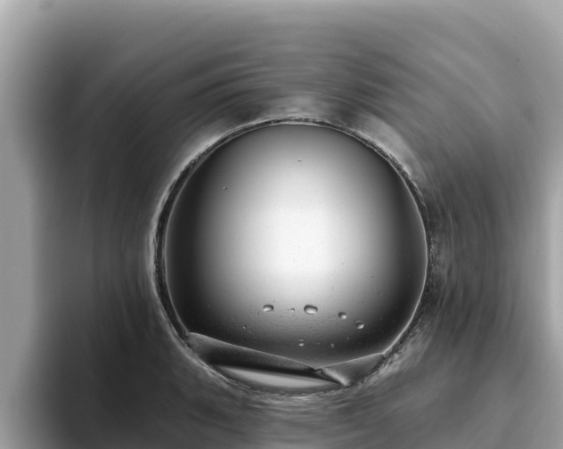 X0000093421135200710191000