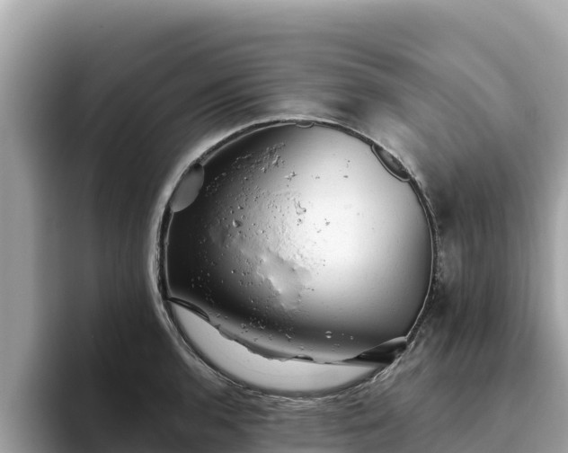 X0000093421136200710191000
