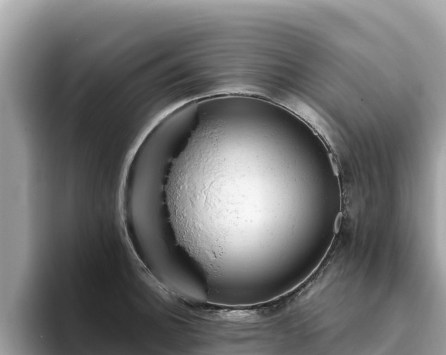 X0000093421140200710191000