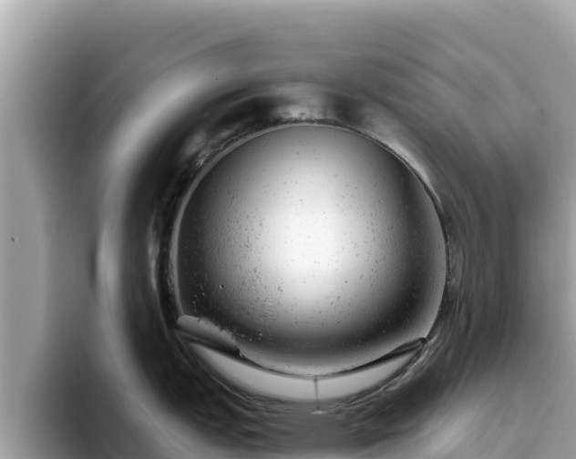 X0000093421151200710191000