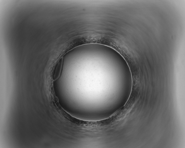 X0000093421153200710190959