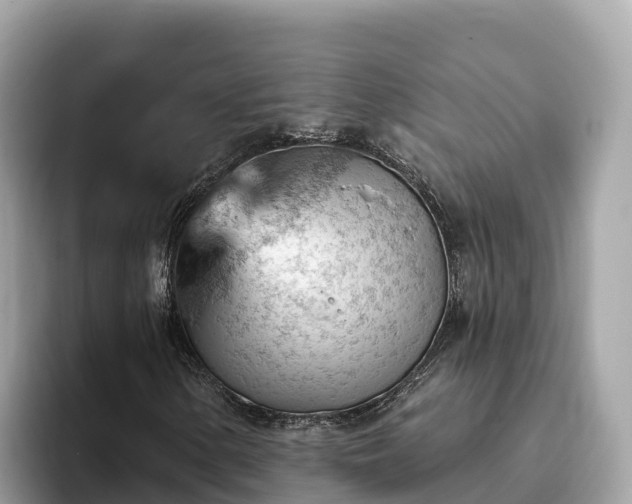 X0000093421154200710190959