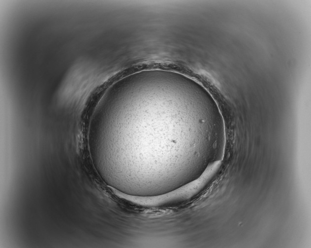 X0000093421159200710190959