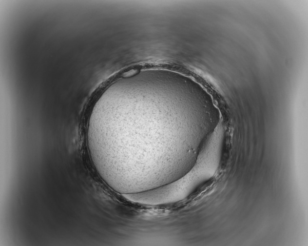 X0000093421160200710190959