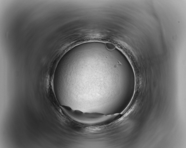 X0000093421161200710190959
