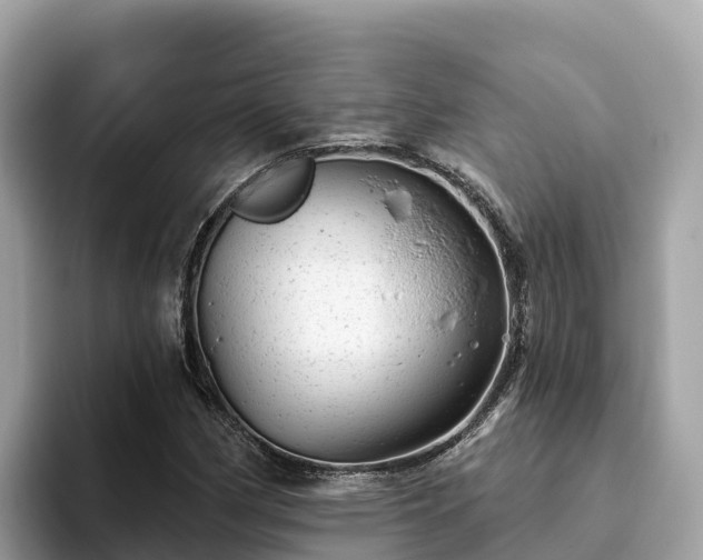 X0000093421162200710190959