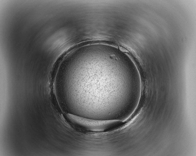 X0000093421163200710190959