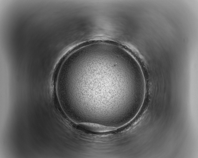X0000093421167200710190959
