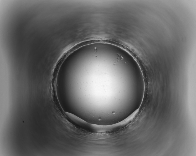 X0000093421168200710190959