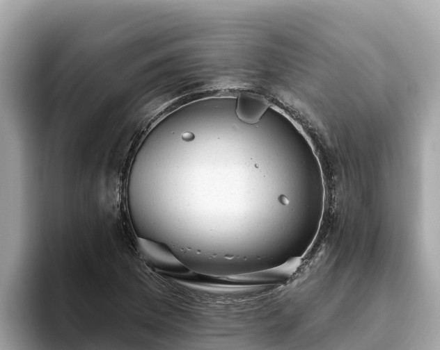 X0000093421169200710190959