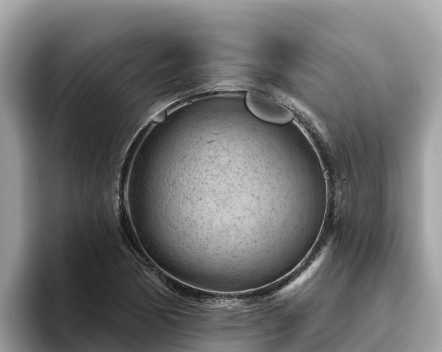 X0000093421170200710190959