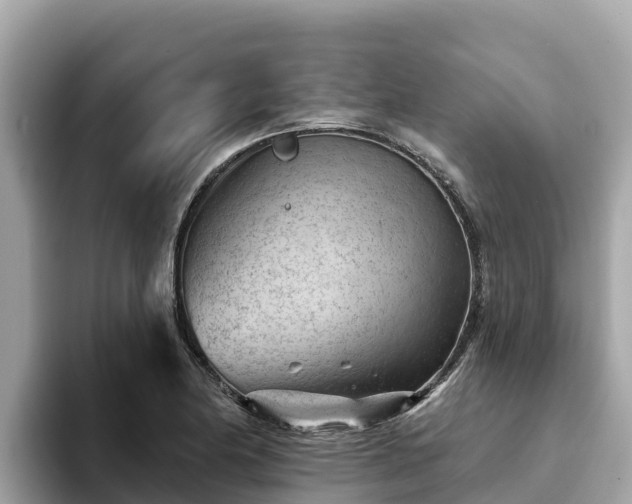 X0000093421174200710190959