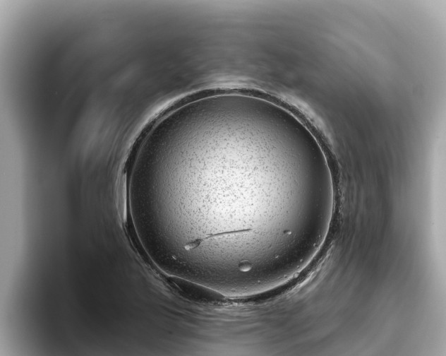 X0000093421175200710190959