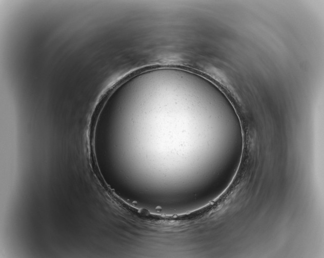X0000093421176200710190959