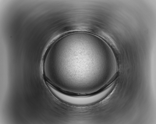 X0000093421180200710190959