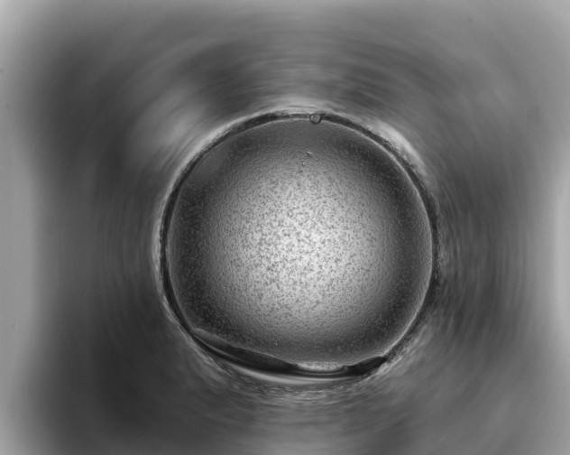 X0000093421183200710190959