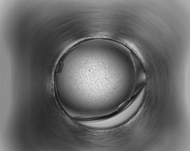 X0000093421184200710190959