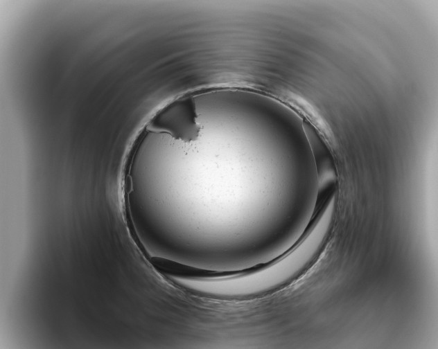 X0000093421188200710190959