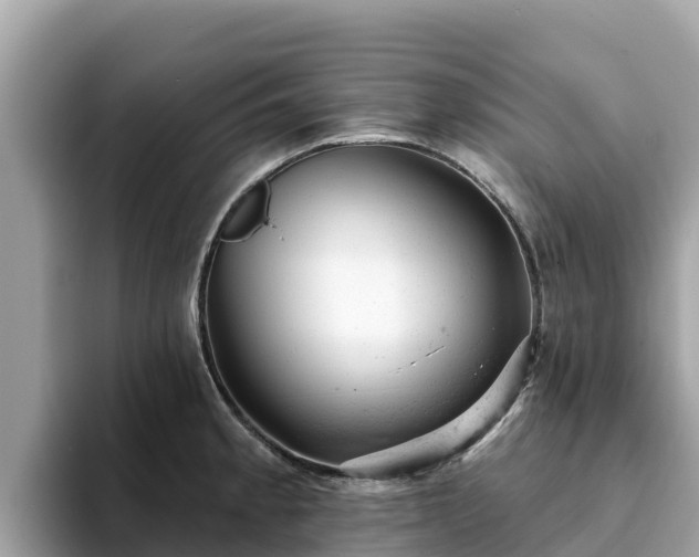 X0000093421189200710190959