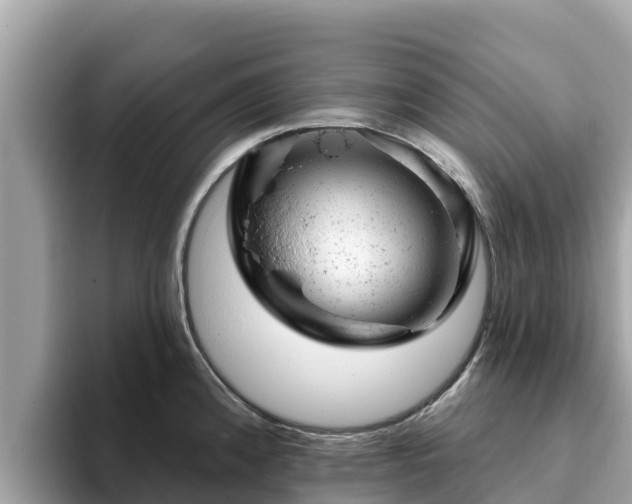 X0000093421192200710190959