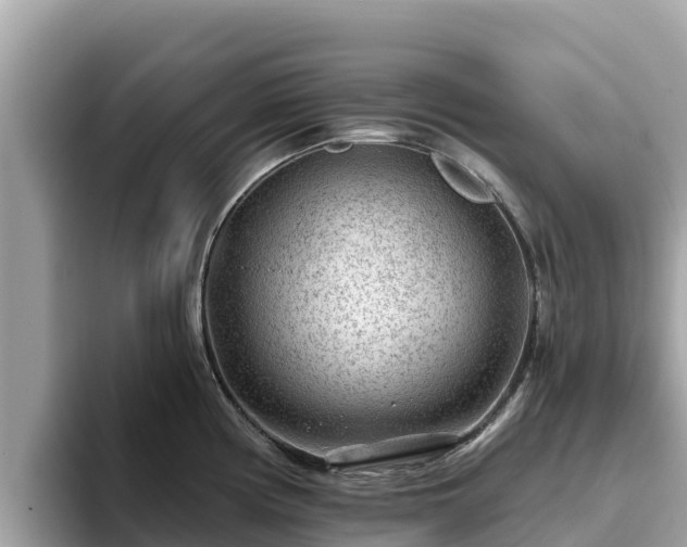 X0000093421194200710190959