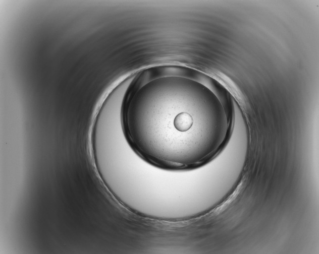 X0000093421196200710190959