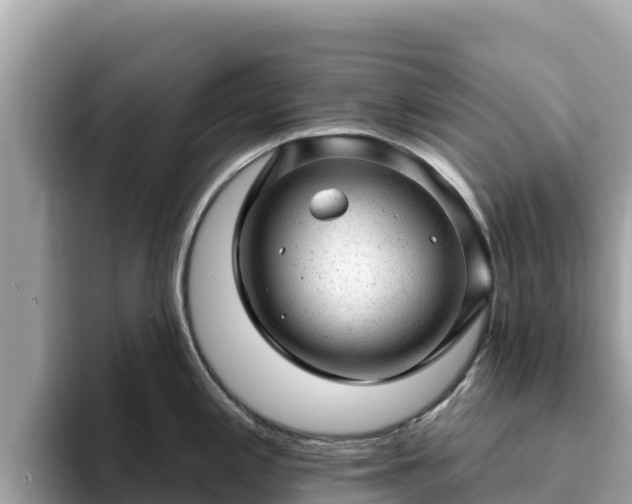 X0000093421197200710190959