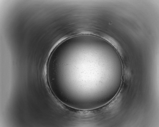 X0000093421198200710190959