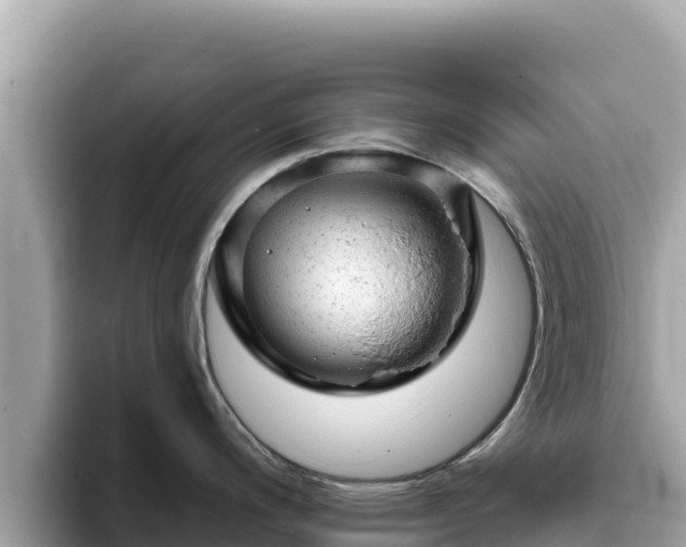 X0000093421200200710190959