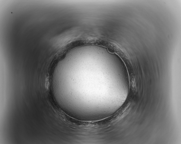 X0000093421204200710190958