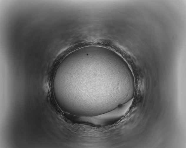X0000093421206200710190958