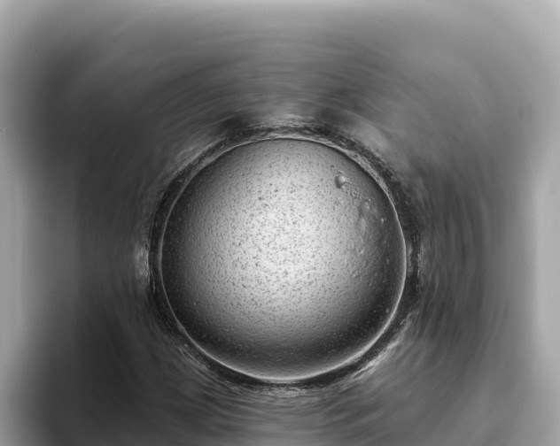 X0000093421209200710190958
