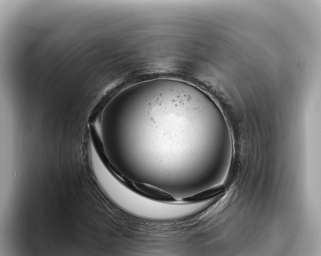 X0000093421210200710190958