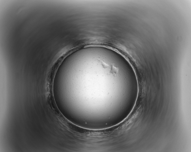 X0000093421211200710190958