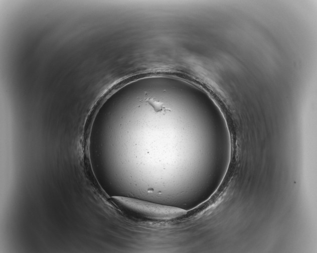 X0000093421212200710190958