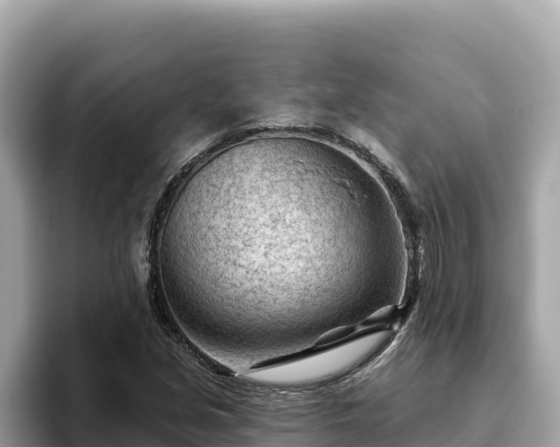 X0000093421213200710190958