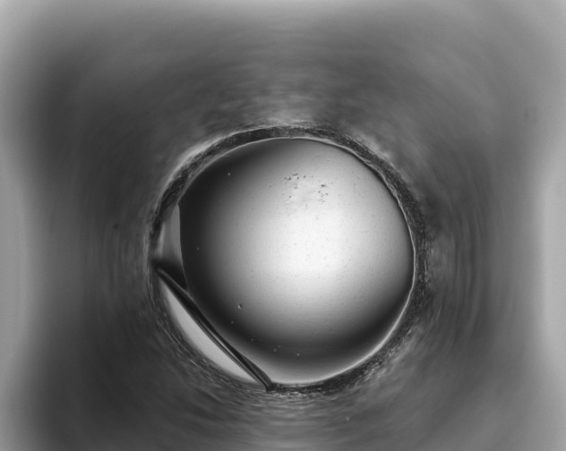 X0000093421214200710190958