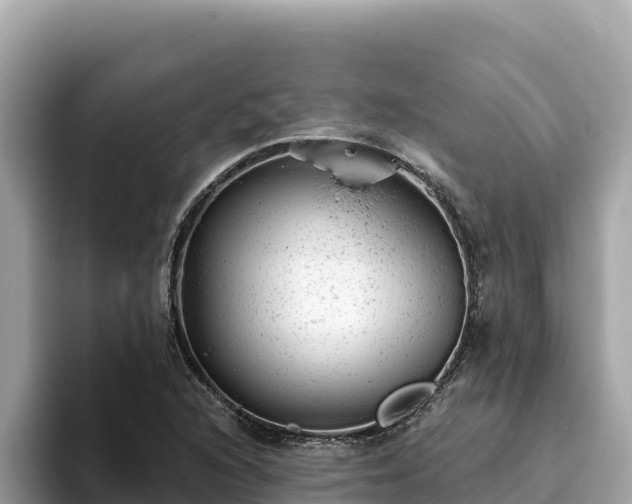 X0000093421216200710190958