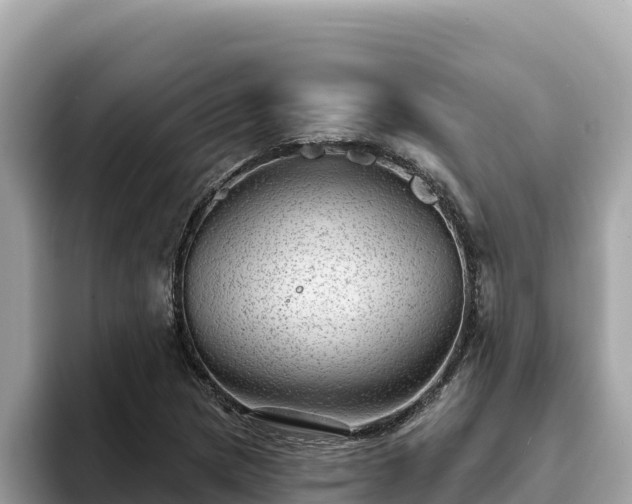 X0000093421217200710190958