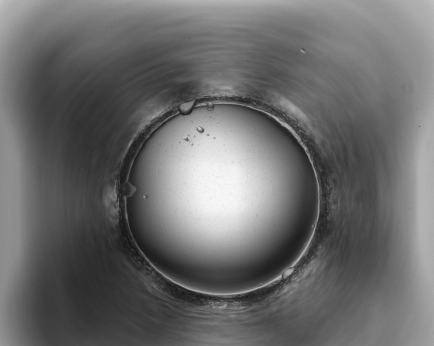 X0000093421218200710190958