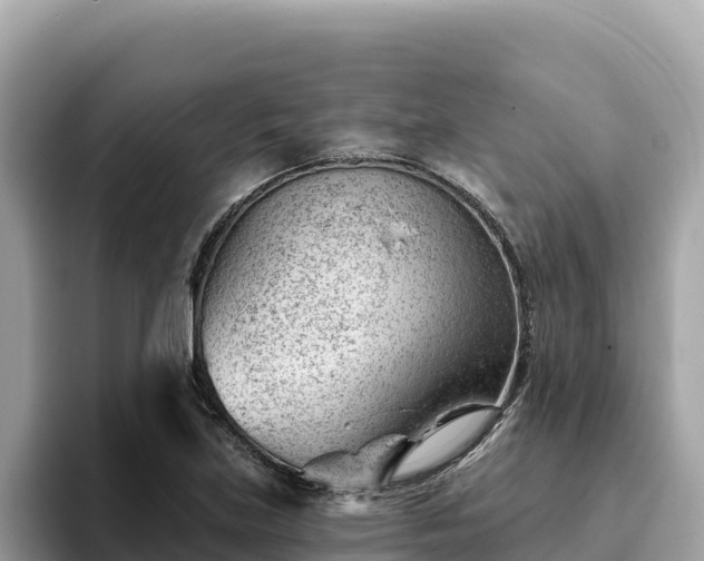 X0000093421219200710190958
