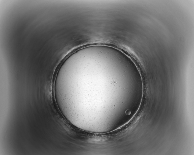 X0000093421220200710190958