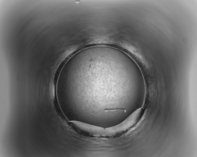 X0000093421221200710190958