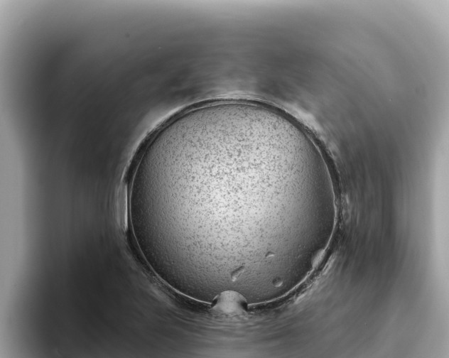 X0000093421223200710190958