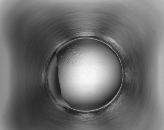X0000093421225200710190959