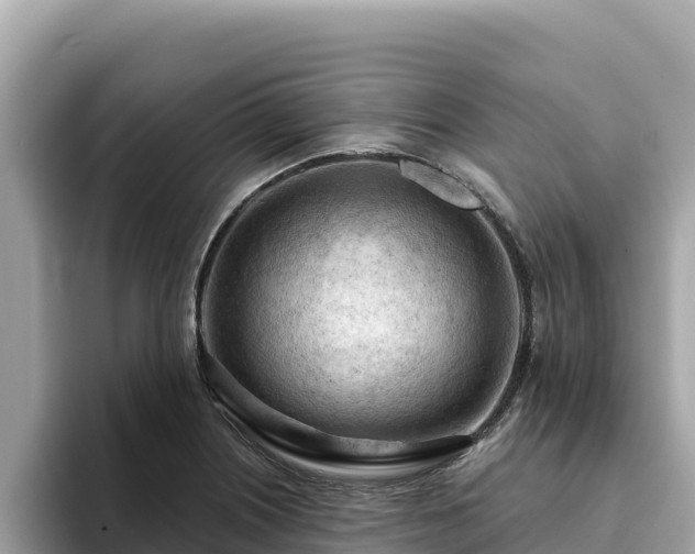 X0000093421226200710190959