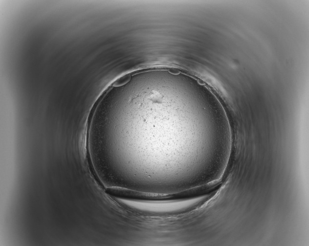 X0000093421228200710190959