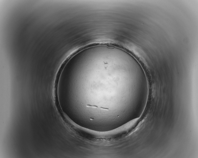 X0000093421229200710190959