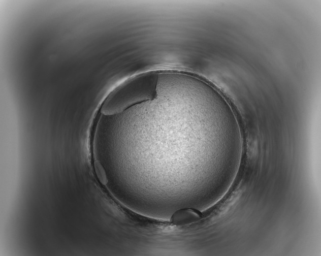 X0000093421230200710190959