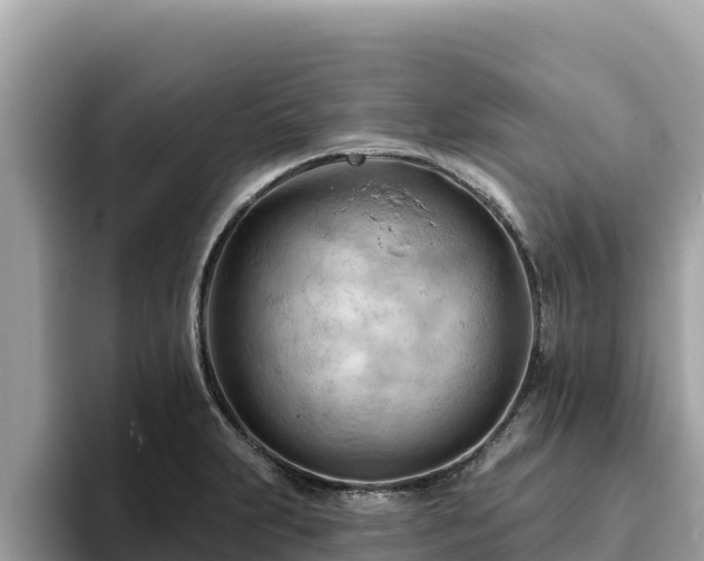 X0000093421231200710190959